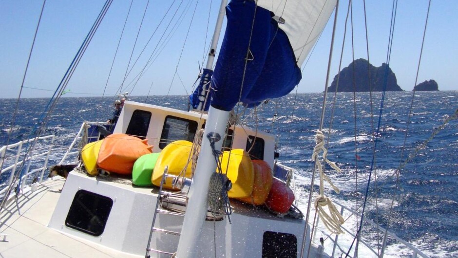 ベイ・オブ・アイランズでセーリング