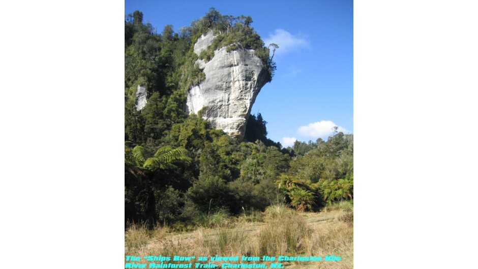 The Ship's Bow as viewed from The Nile River Rainforest Train