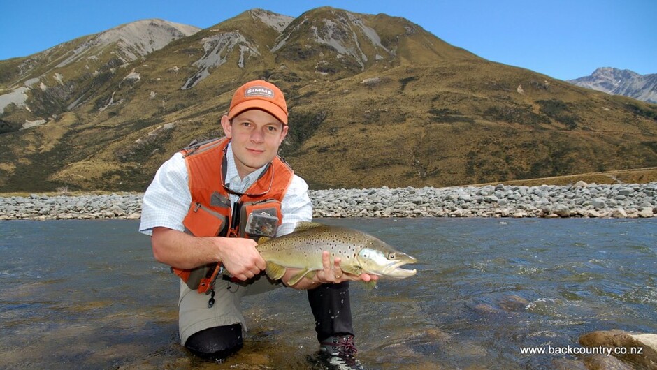 A well conditioned brown trout.