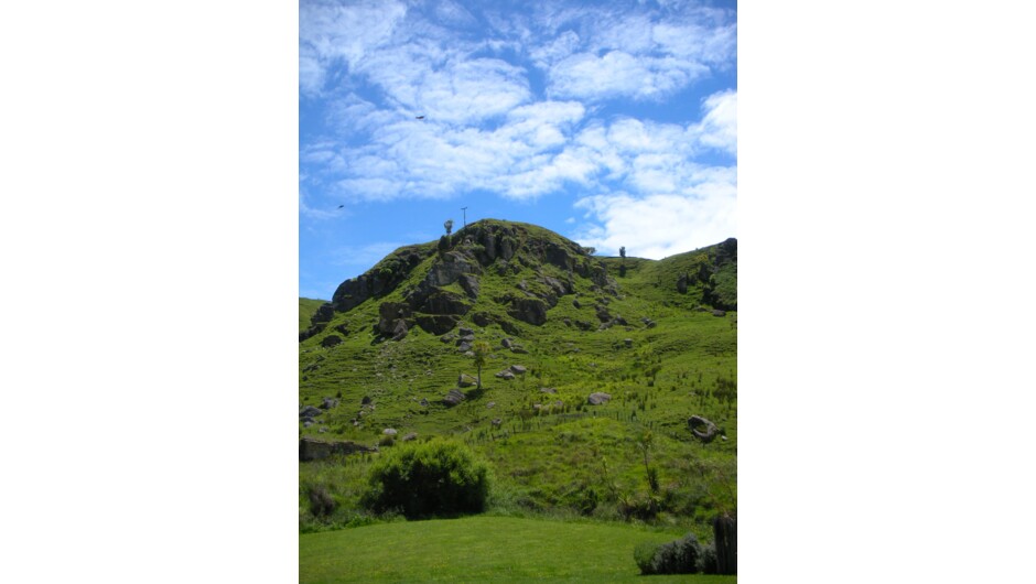 Nikau Cave &amp; Cafe