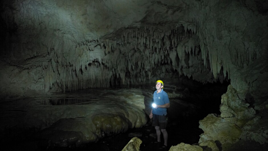 Some of the formations inside Nikau Cave