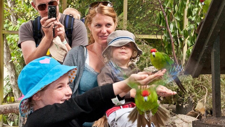 饲喂鹦鹉的游客家庭