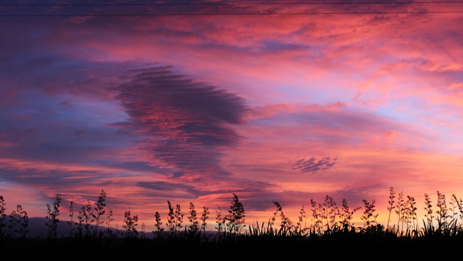 Stunning Morning Colour