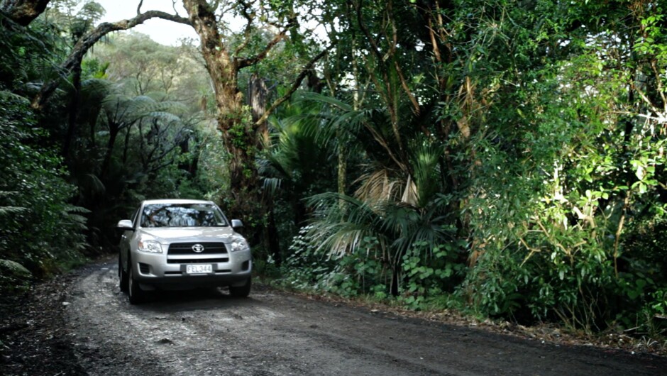 尼尔森机场顶点租车