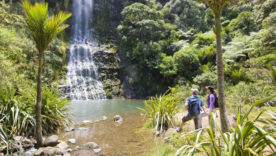 Auckland Full Day Tour with TIME Unlimited Tours - see beautiful NZ Scenery in Auckland