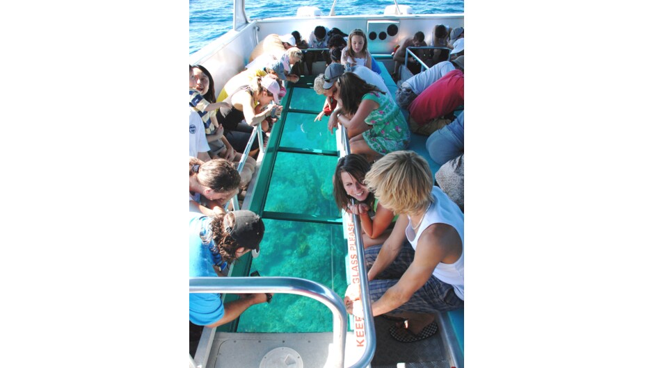 Onboard viewing the fish and marine life