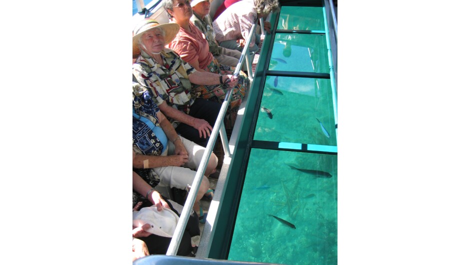 Ladies enjoying the commentary while viewing the fish