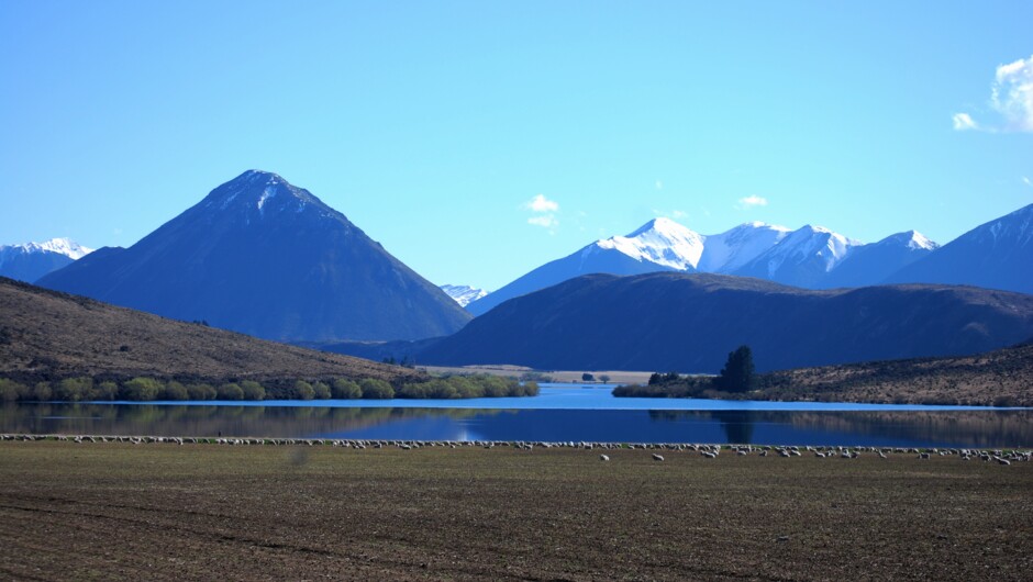 Arthur's Pass Day Tour &amp; TranzAlpine Train (with Canterbury Trails)