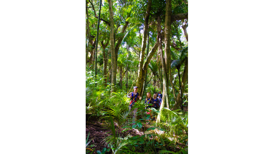 The guided forest walk back to base...