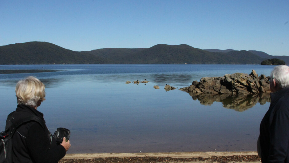 ウルヴァ島パターソン・インレットのボールダー・ビーチ