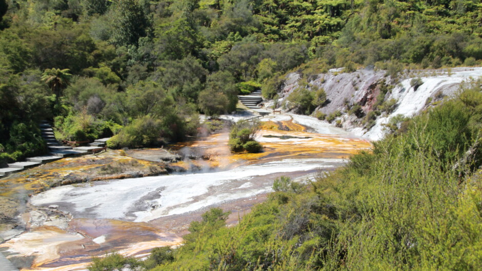 Stroll through the geothermal wonderland on well maintained walkways at Orakei Korako.