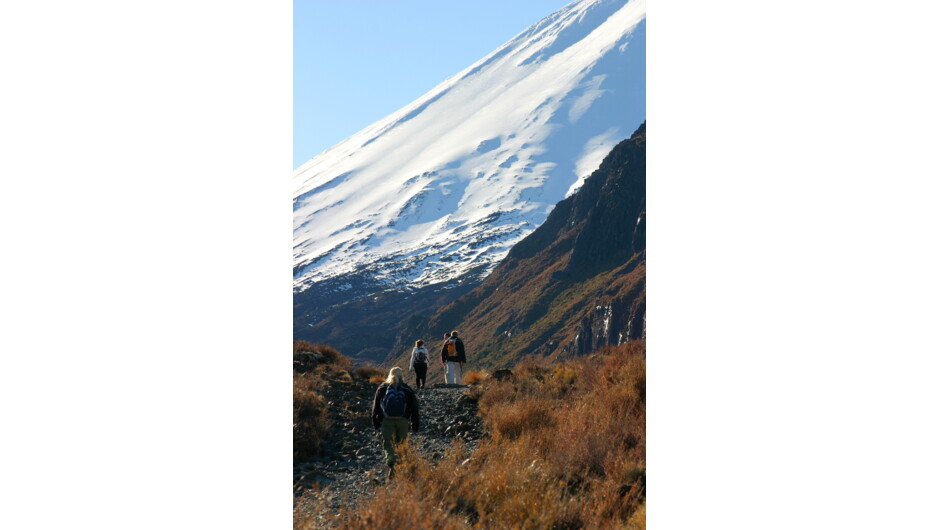 Tongariro Crossing
