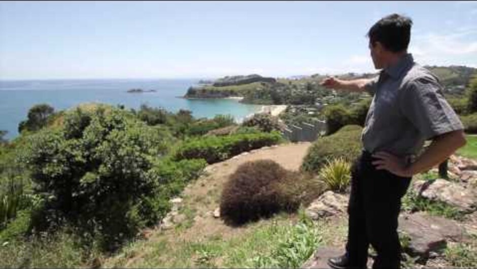 SeaLink - The Only Car Ferry To Waiheke Island