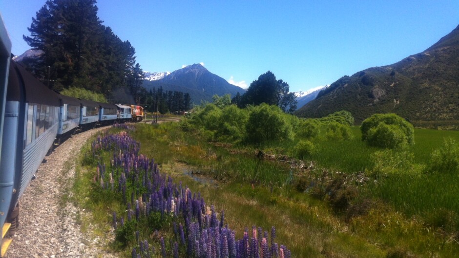 Bloomin great train trip