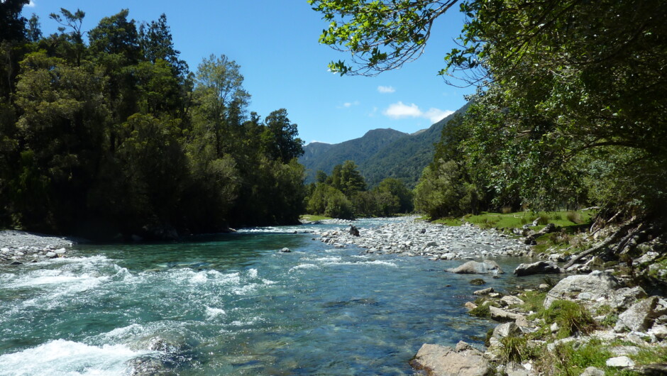 Beautiful freestone river in Westland