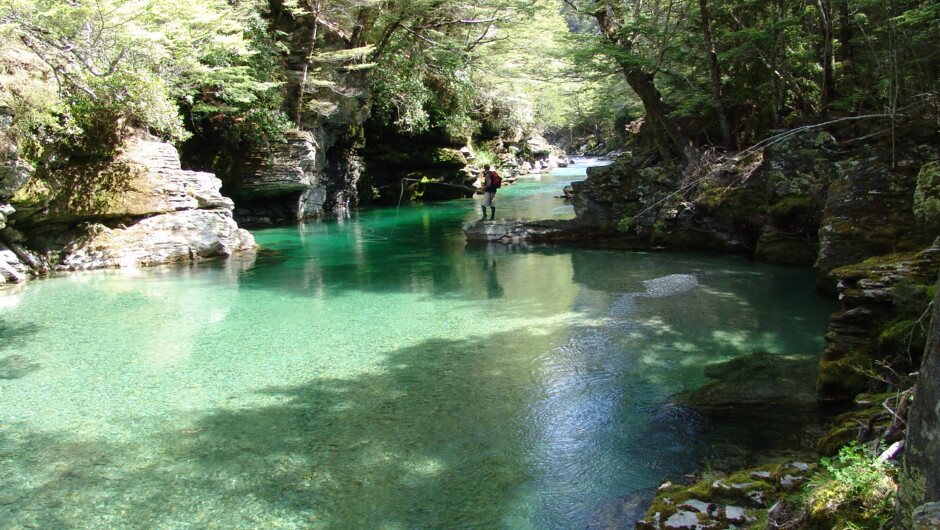 NZ Fly Fishing Expeditions - Wish you were here?
