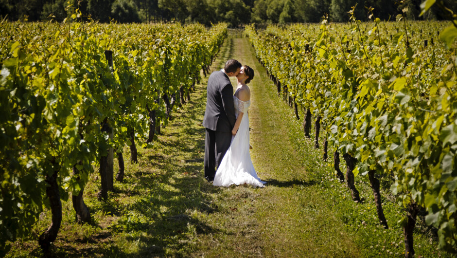 New Zealand Wedding Packages Vineyard Wedding