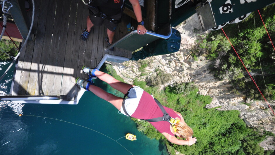 Bungy