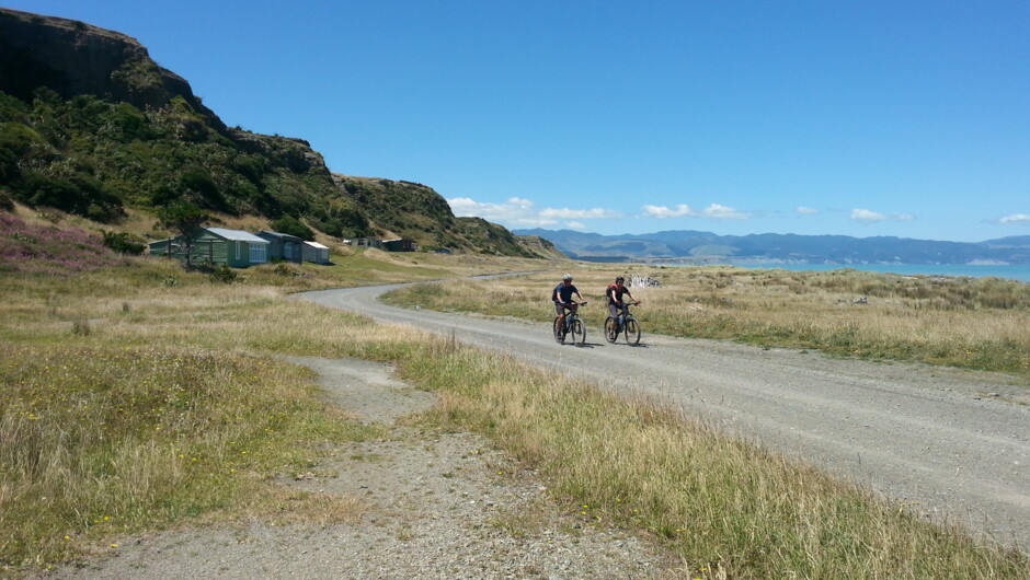 Riding past the old baches scattered along the coast, occupied by families for generations.