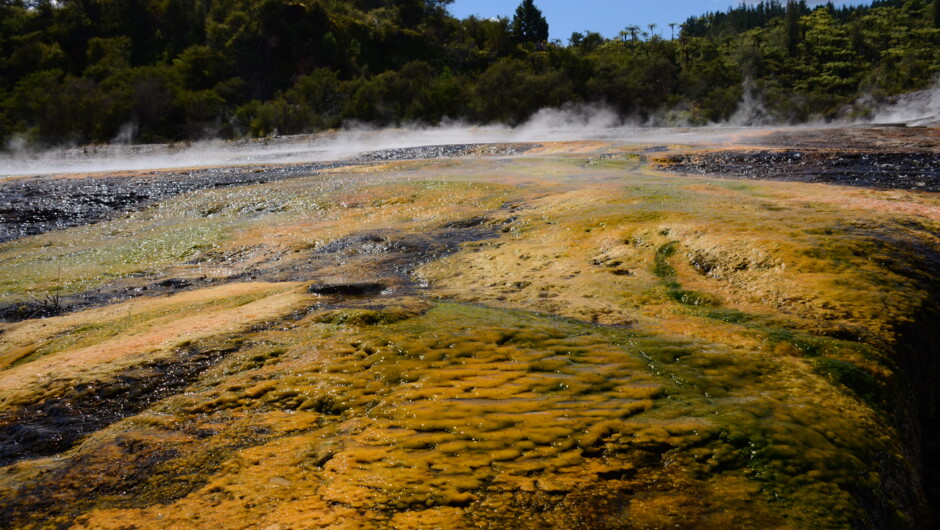 Steam rising from the geothermal field at beautiful Orakei Korako.