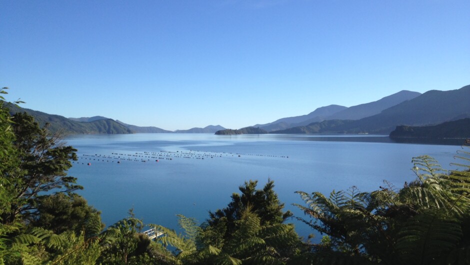 Marlborough Sounds - Crail Bay