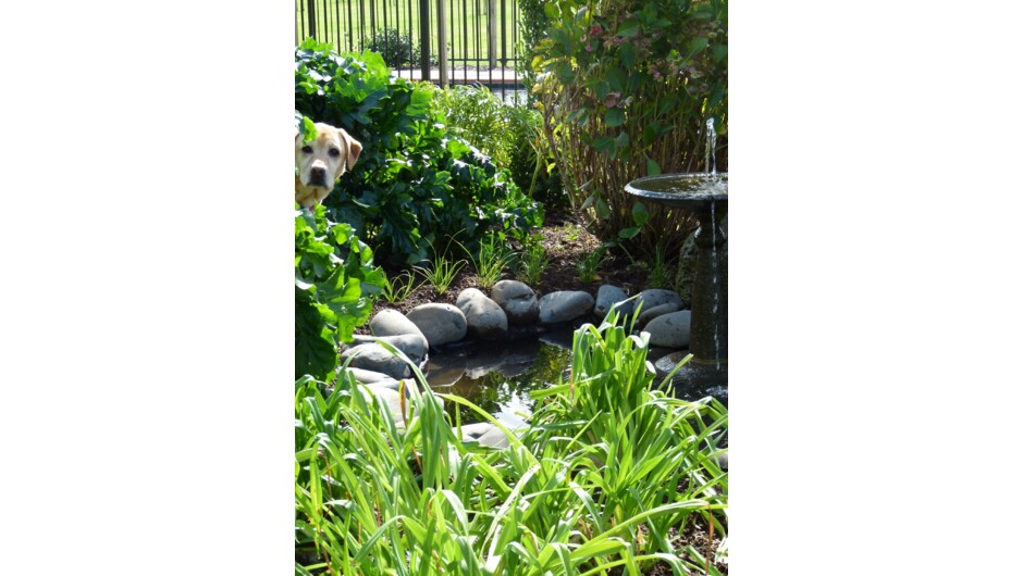 Holly says she wasn&#039;t fishing, just looking!