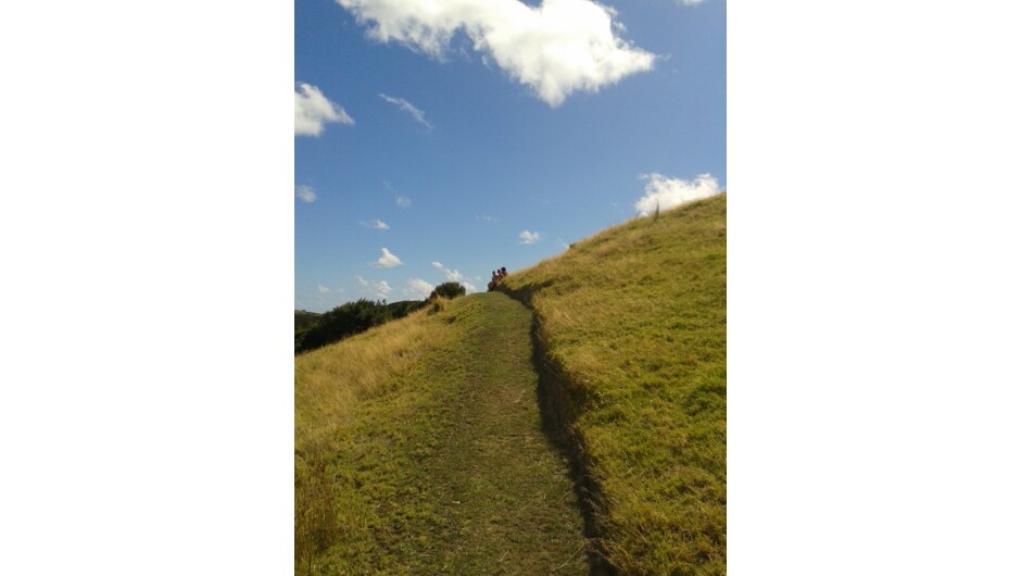 Urupukapuka Island, great well marked tracks