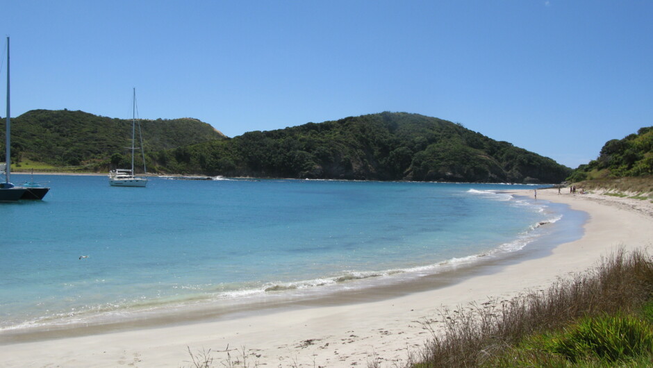 Waewaetoria Island Beaches