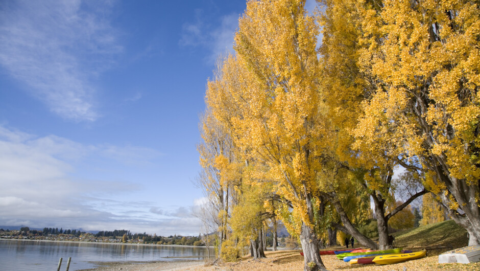 エッジウォーターの敷地内、ワナカ湖畔の秋の風景