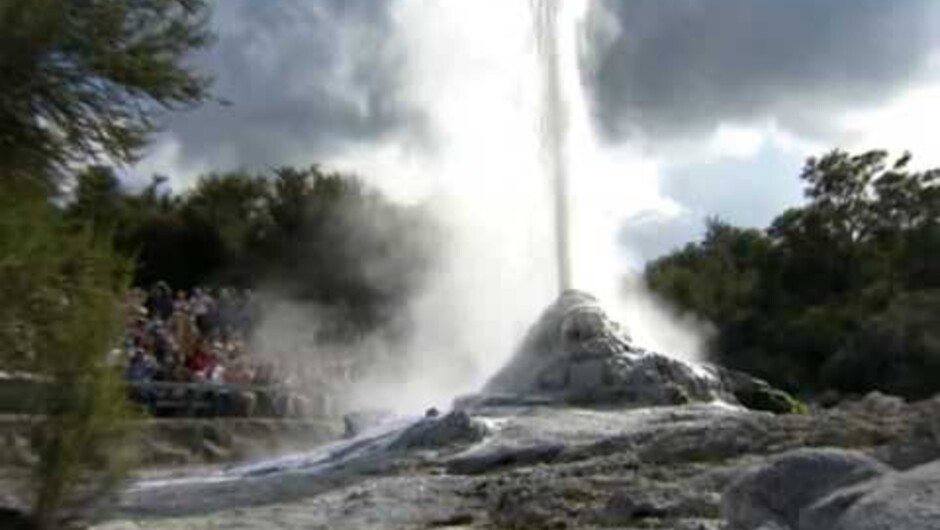 Lady Knox Geyser- Waiotapu Thermal Wonderland