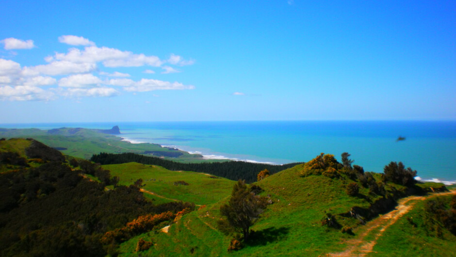 Spot height 329 metres