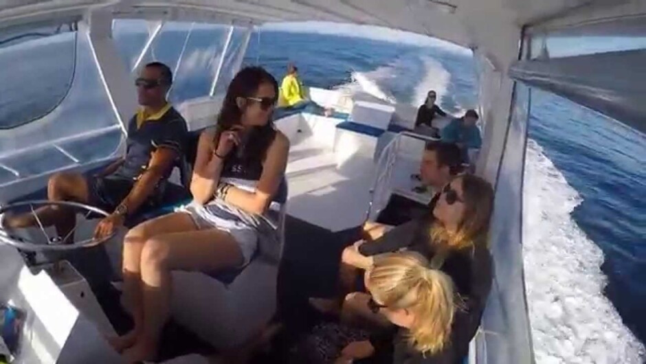 Diving the Poor Knights. A summer of work in paradise