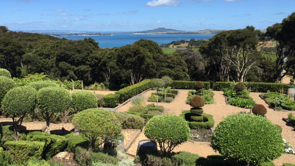Mudbrick Vineyard