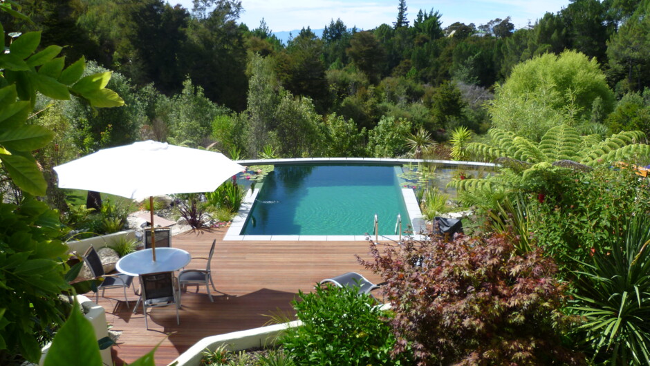 Pool, deck & garden view