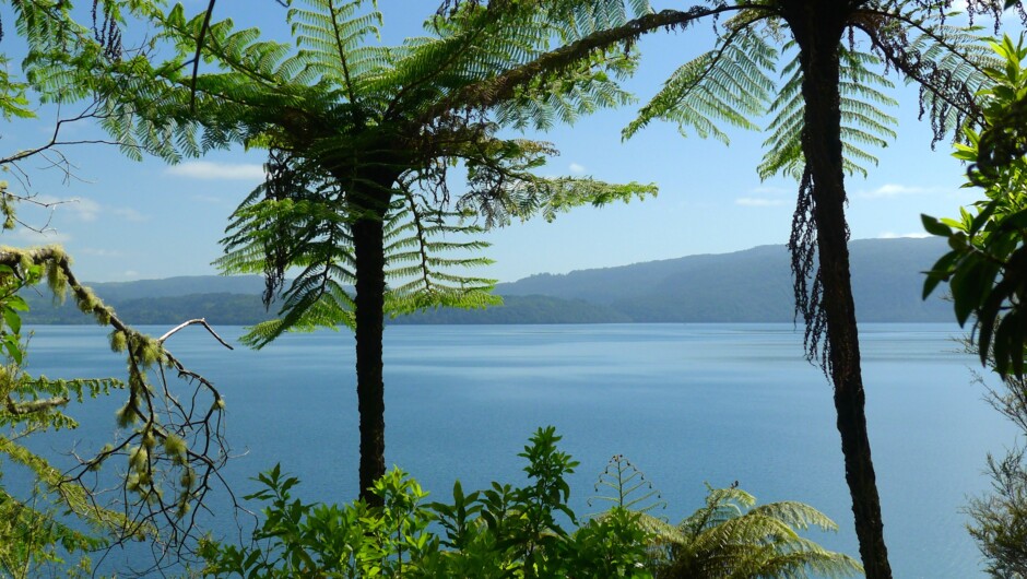 Pristine Lake Tarawera.