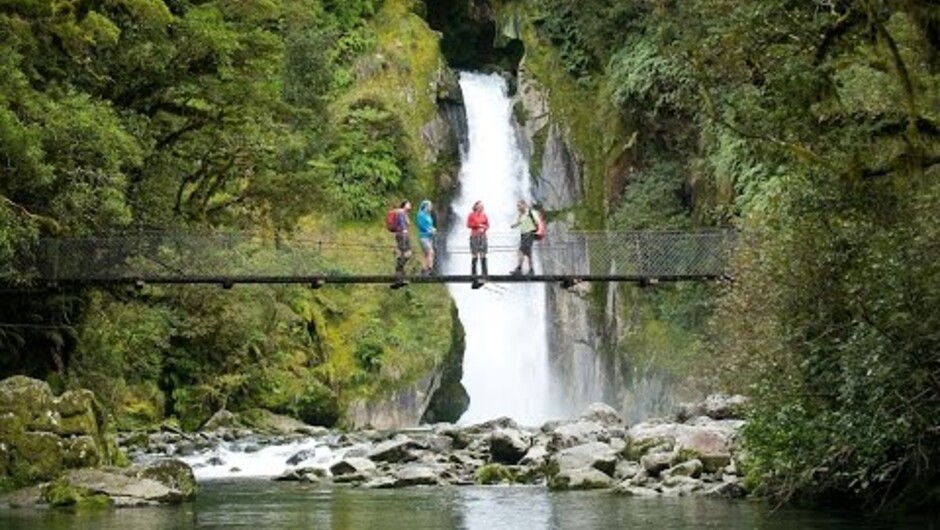 Milford Track Guided Day Walk
