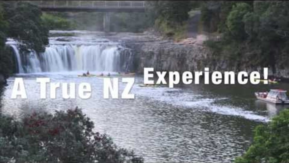 Bay of Islands Day &amp; Night, Cruise &amp; Kayak