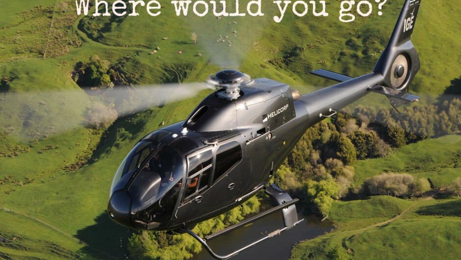 Your dream. Your destination. Your adventure.