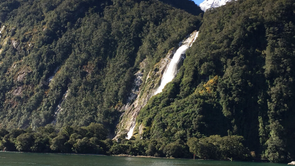 One of many waterfalls at Milford Sound; a boat tour can be included (time/weather permitting)