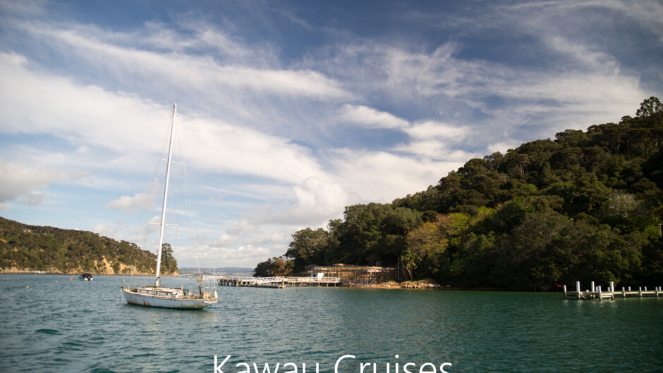 North Cove, Kawau Island