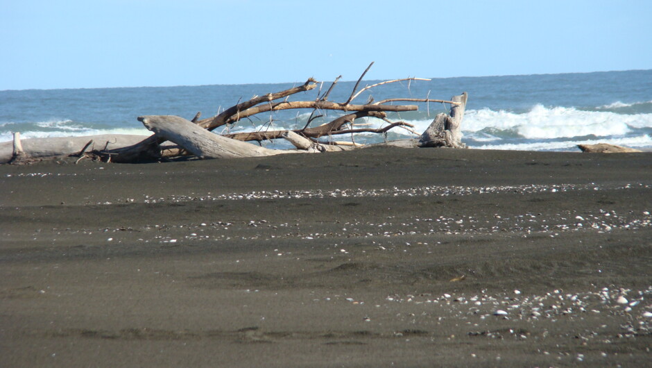 Drift wood