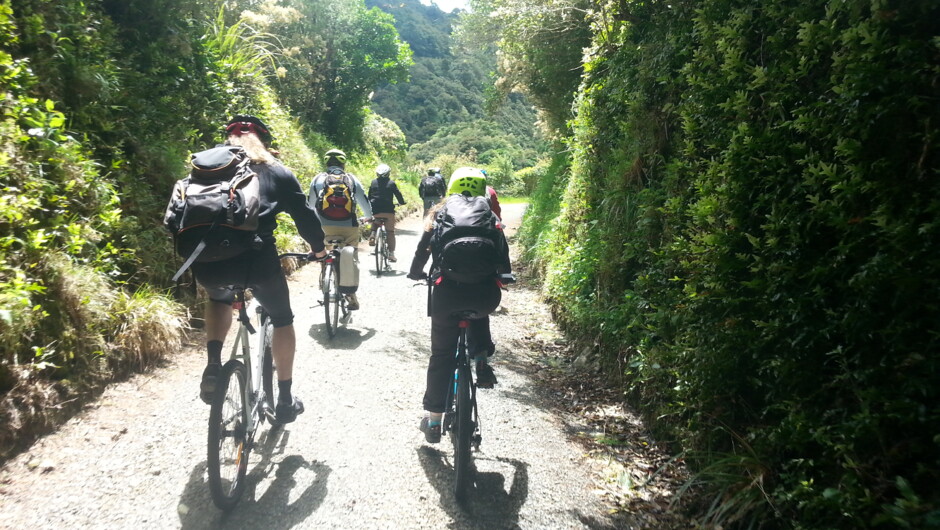Rimutaka Rail Trail.