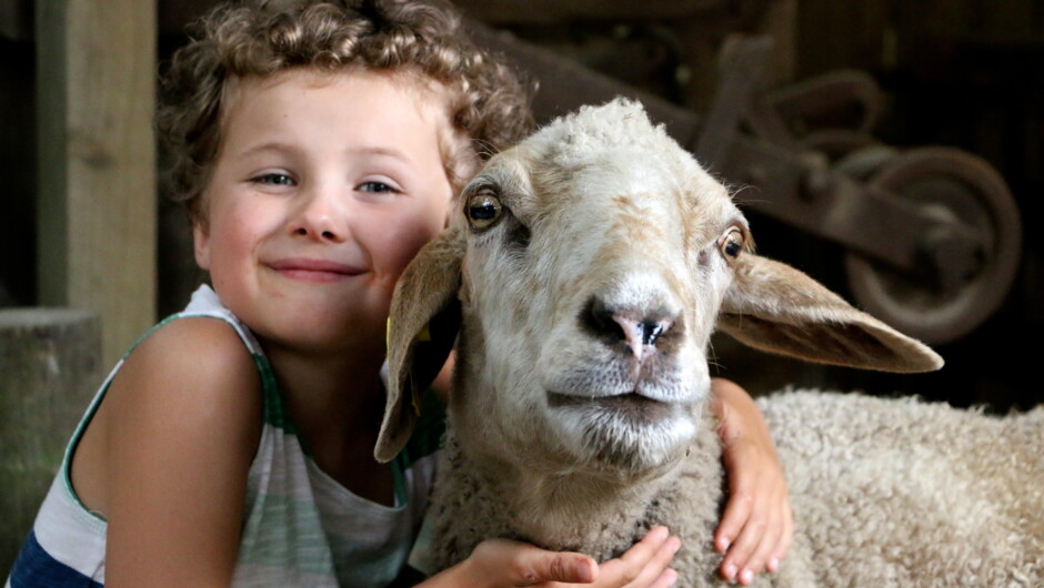 Farmyard animals