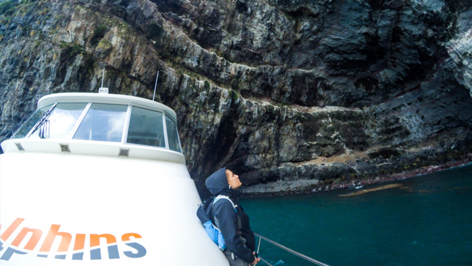 カセドラル・ケーブ