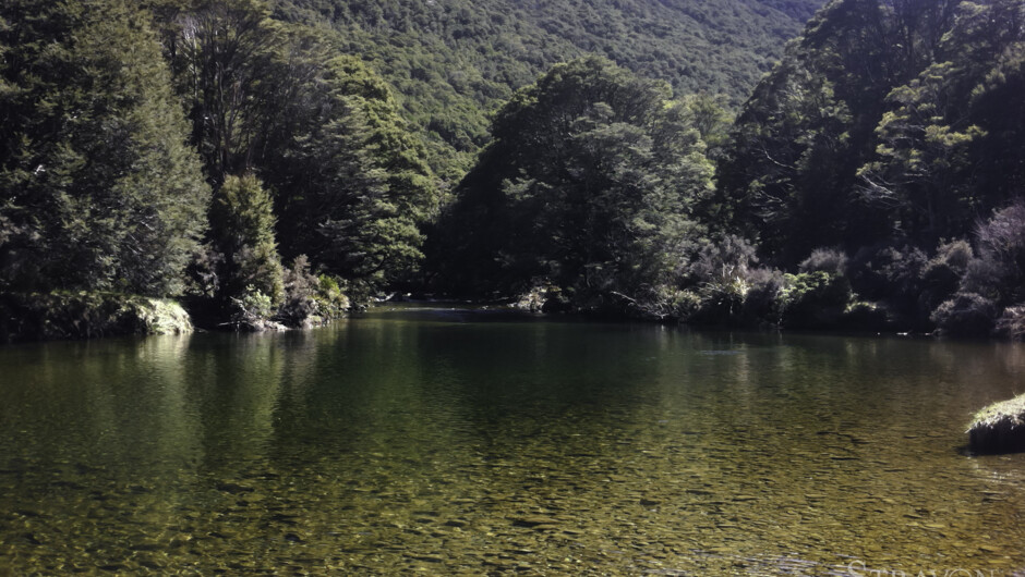 The West at it's Best!