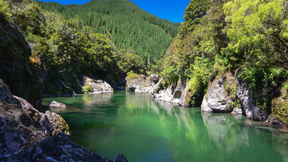 The West at it's Best!