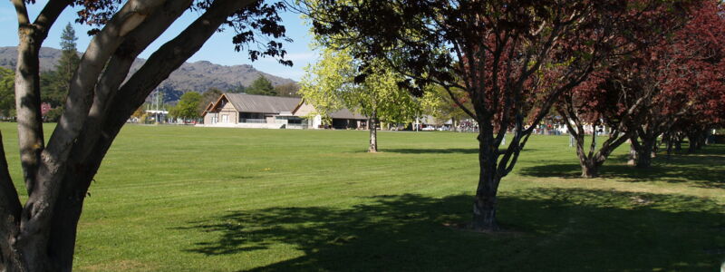 Logo: AL Park View Motel