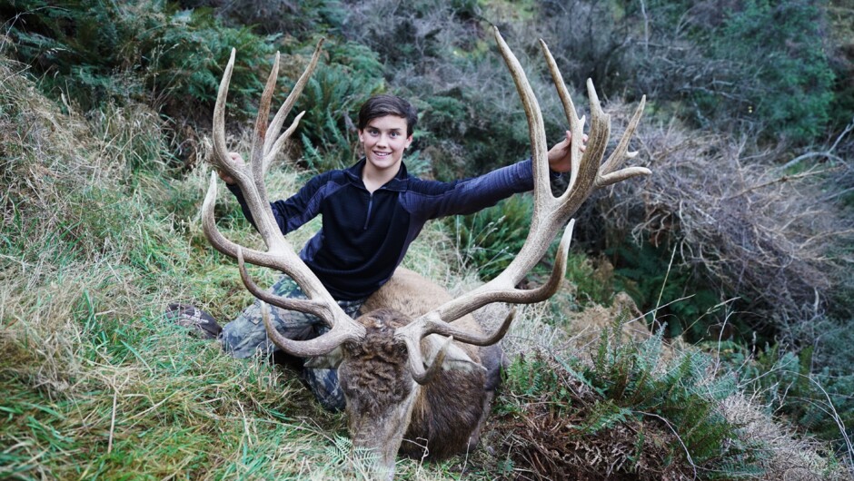 Trophy Red Stag