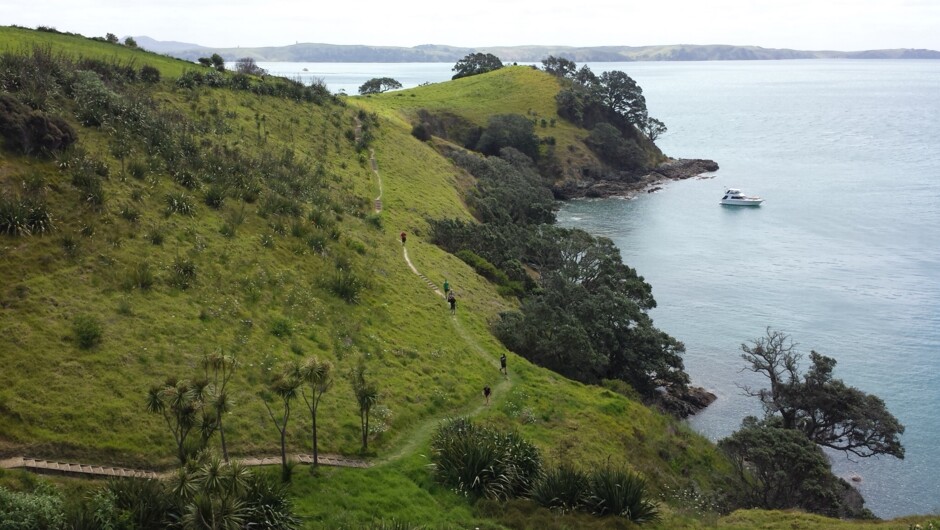 Matiatia coastal track