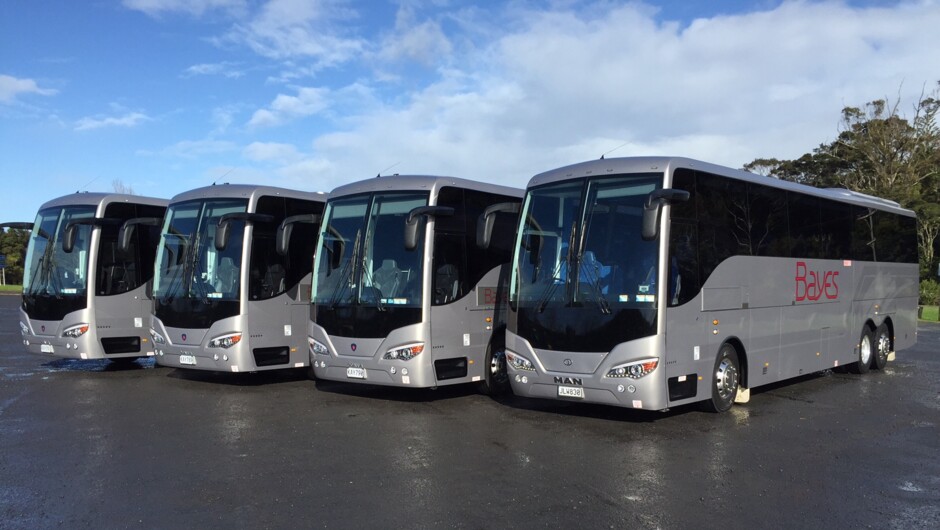 5 Star deluxe coaches